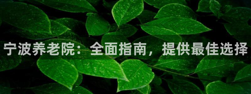 韦德1946bv1946