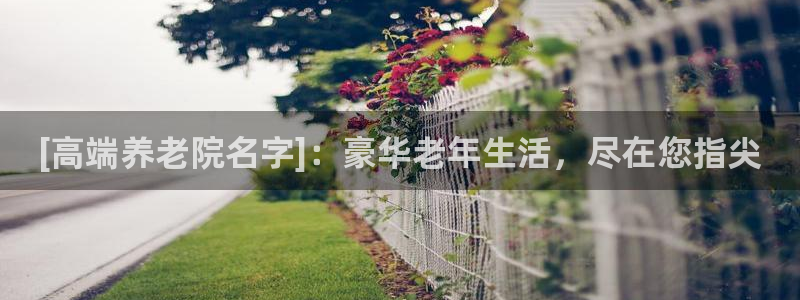 韦德1946娱乐