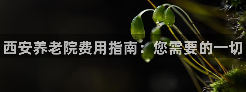 韦德1946手机网址