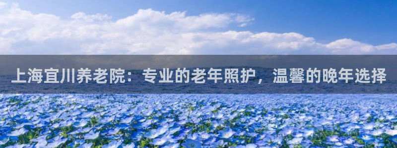 韦德1946国际