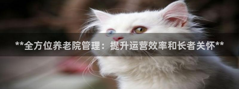 韦德1946体育