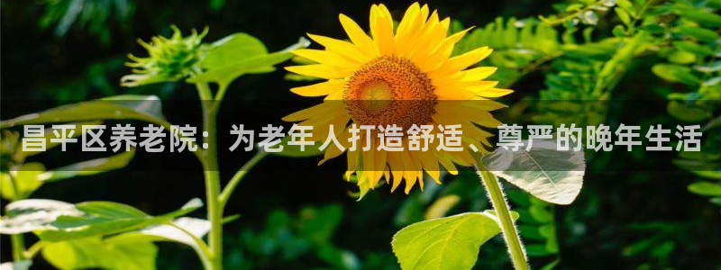 韦德8月22日开启中国行