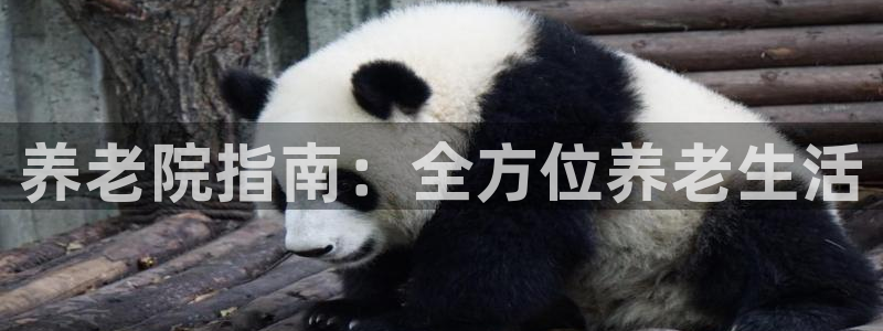 韦德观战总决赛G3