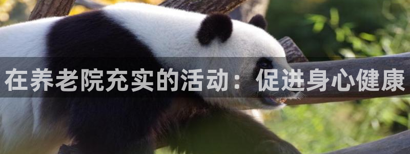 韦德1946游戏