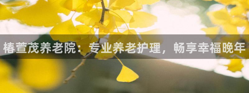 韦德1946体育官方入口