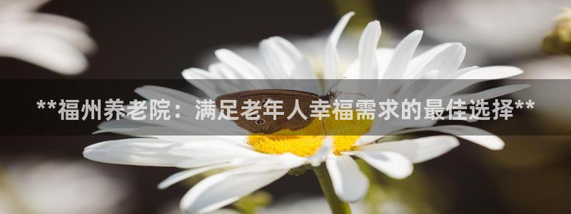 韦德1946下载