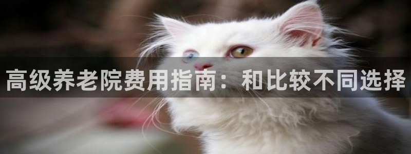 韦德官方网址大全