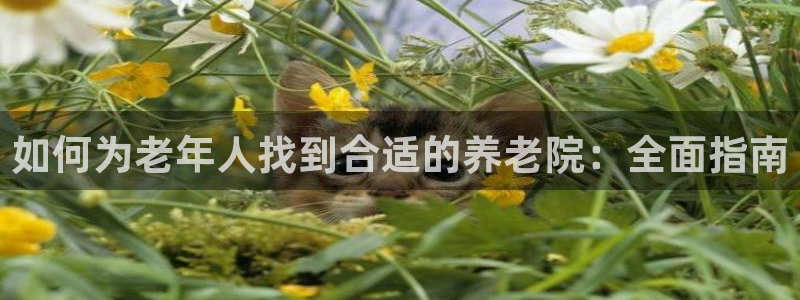 韦德1946娱乐手机版