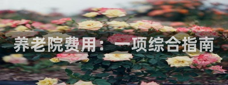 1946韦德官网