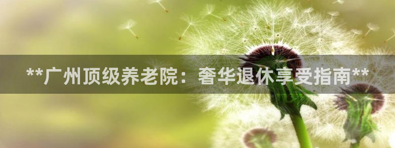 韦德官网注册推荐网站是什么