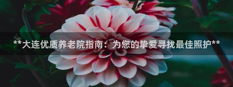 韦德1946游戏