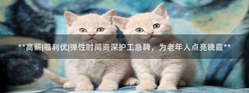 韦德1946