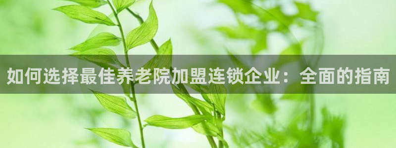 韦德1946手机网址