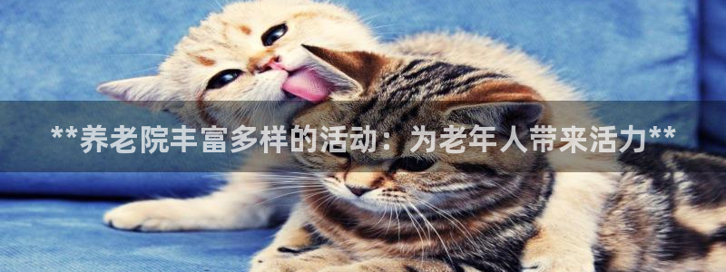 韦德1946手机版