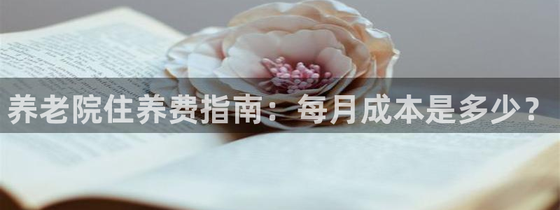 韦德 网站