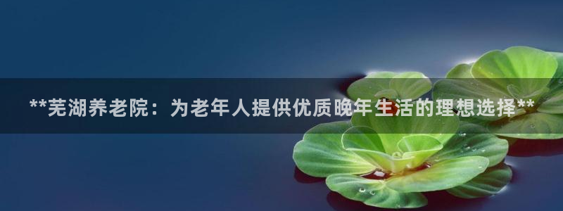 韦德1946官网