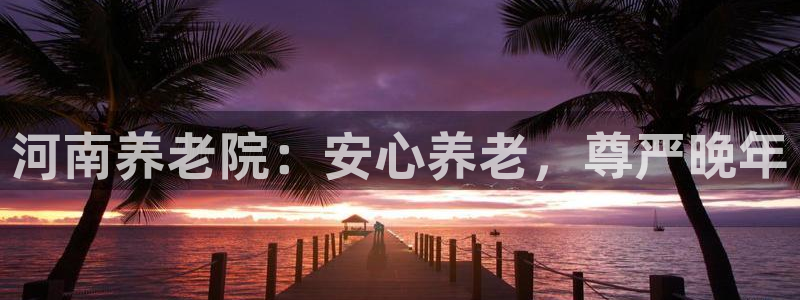 韦德网站是多少
