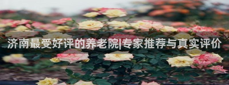 韦德的地位
