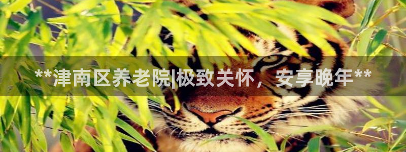 韦德1946游戏