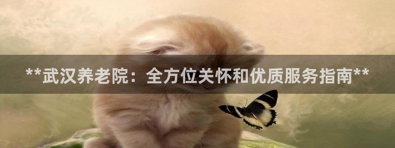 韦德国际1946官网