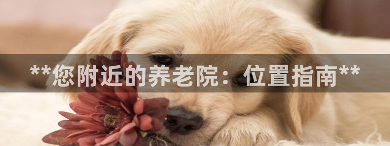 韦德 网站