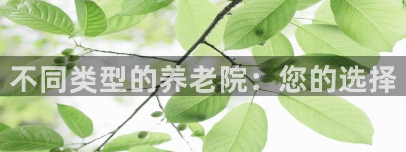 韦德网址