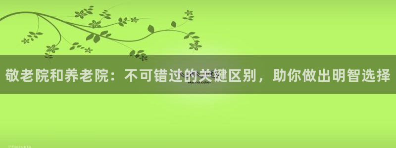 韦德网站是多少