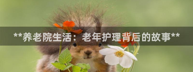 韦德事件