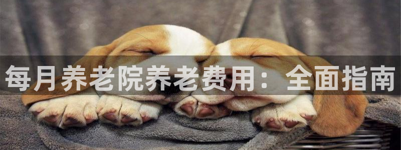 韦德下载