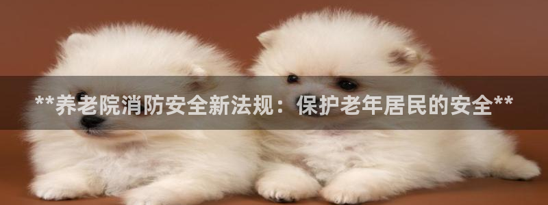 韦德新品