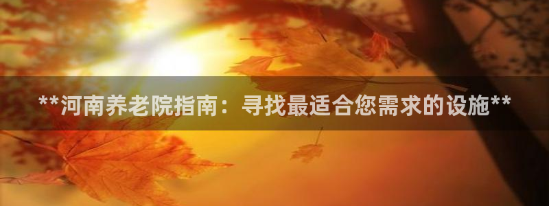 韦德网站官网
