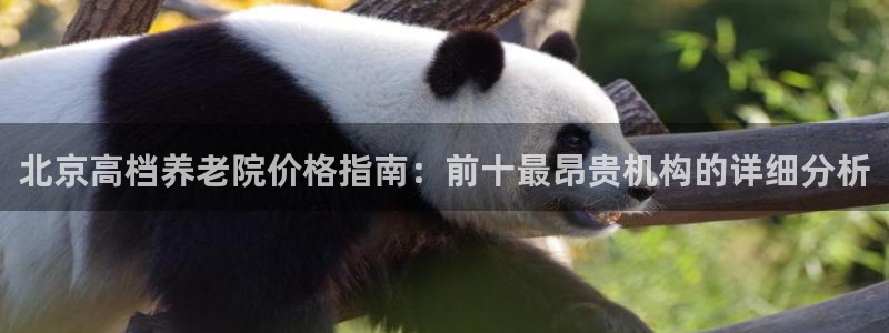 韦德1946网址