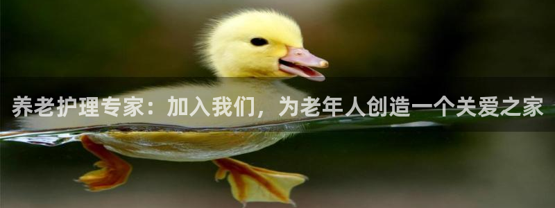韦德全系列