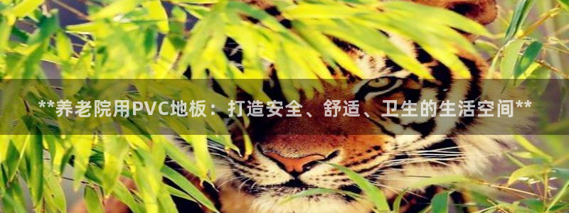 韦德1946体育官方入口