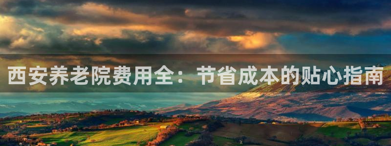 韦德的游戏