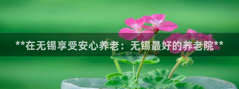 韦德网址