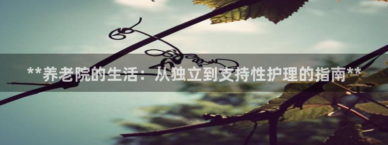 韦德属于什么