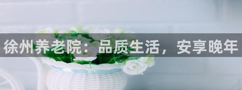 韦德1946手机