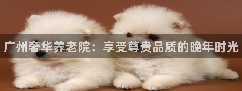 韦德官网注册推荐网站是什么