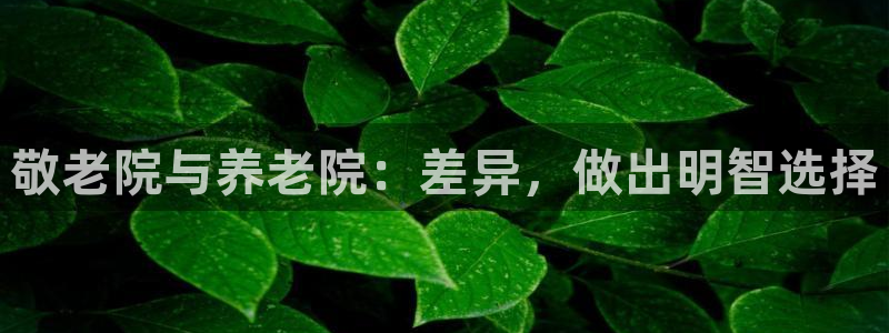 1946韦德官方网站
