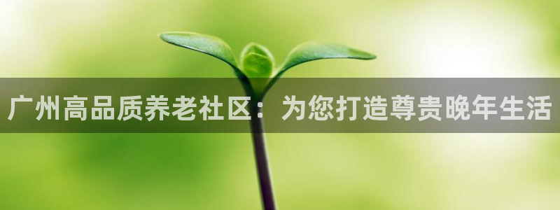韦德 网址