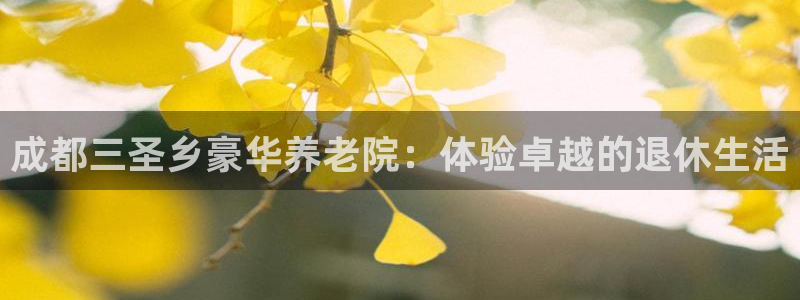 韦德游戏网址
