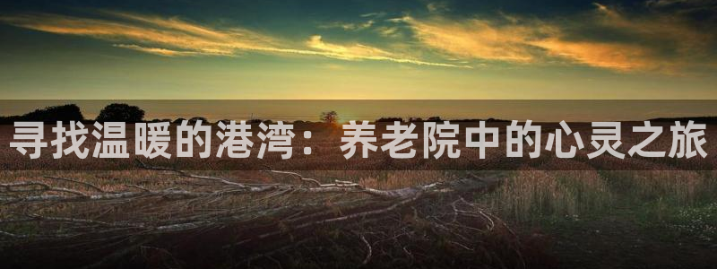 韦德1946官方