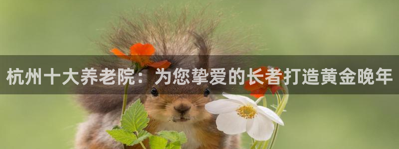 韦德游戏注册要用驾驶证嘛