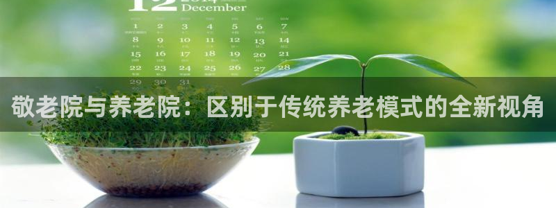 韦德网址