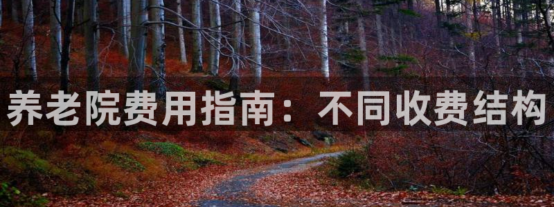 韦德1946备用网站