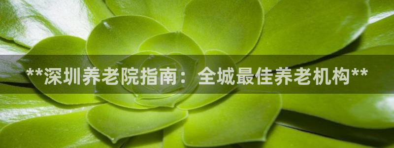 韦德游戏是什么