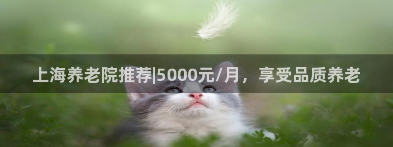 1946韦德官方网站