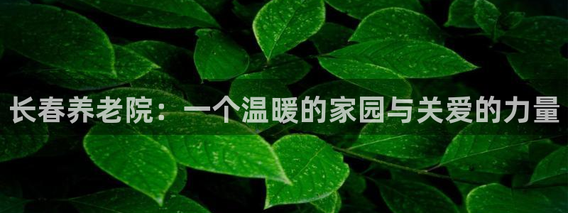 韦德1946下载