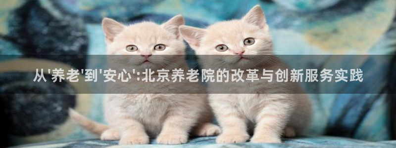 韦德官方网址